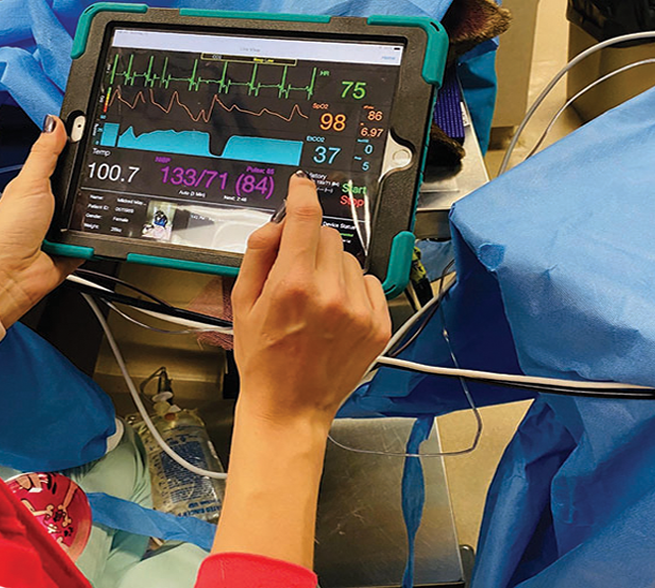 Multiparameter Monitoring Systems Play Important Role in Surgery-Related Diagnostics
           