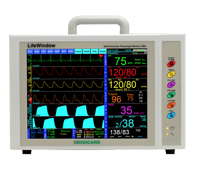 LifeWindow 9x Vet - Custom Built Veterinary Monitor