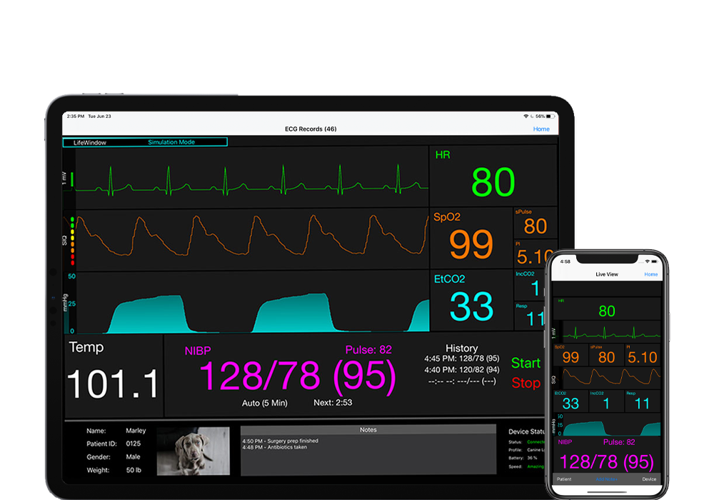 Patient Management