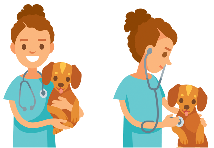 Digicare commited to veterinarian medicine